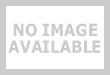 Standard SSL Certificate